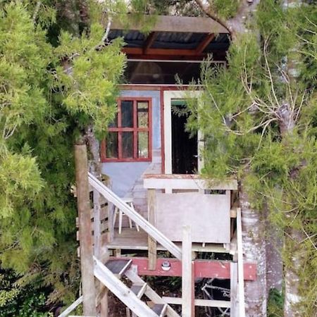 The Treehut At The Rabbithole, Upper Hutt 호텔 Akatarawa 외부 사진
